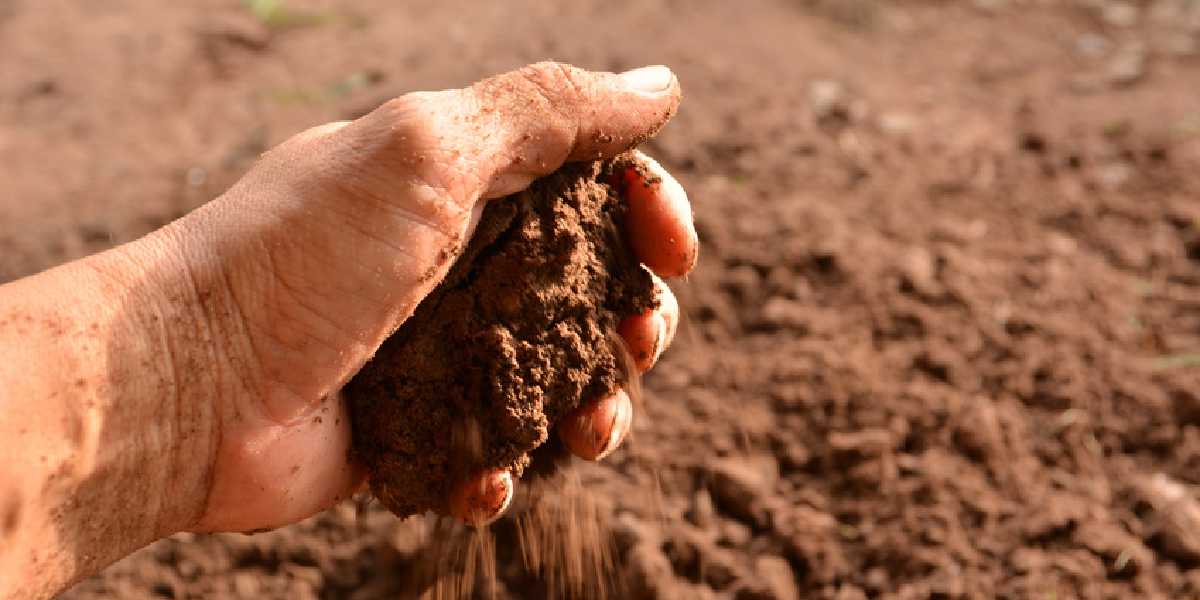 Best practices for excess soil management