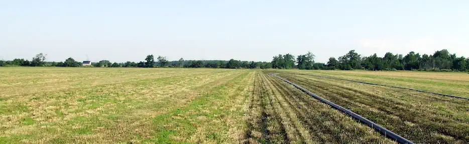 Field with spread biosolids